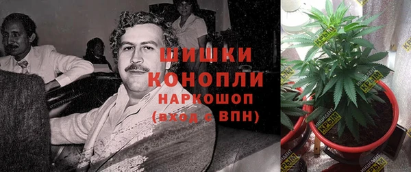 ГАЛЛЮЦИНОГЕННЫЕ ГРИБЫ Алексеевка