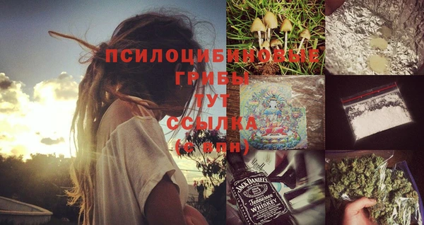 ГАЛЛЮЦИНОГЕННЫЕ ГРИБЫ Алексеевка