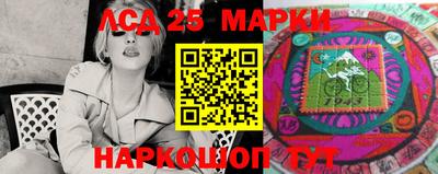 сатива Сланцы