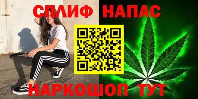 сатива Сланцы