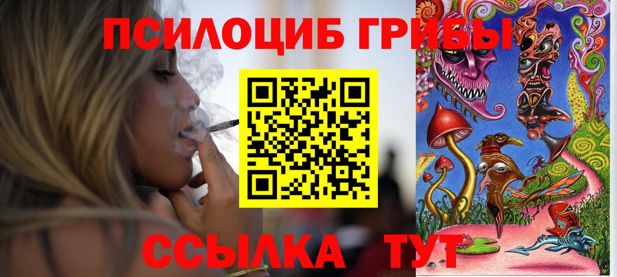 Саров  Галлюциногенные грибы мухоморы  что такое   Галлюциногенные грибы мухоморы  Вход с VPN 
