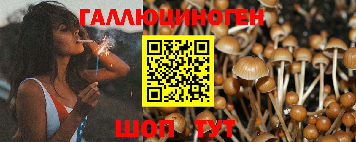 Псилоцибиновые грибы прущие грибы Саров