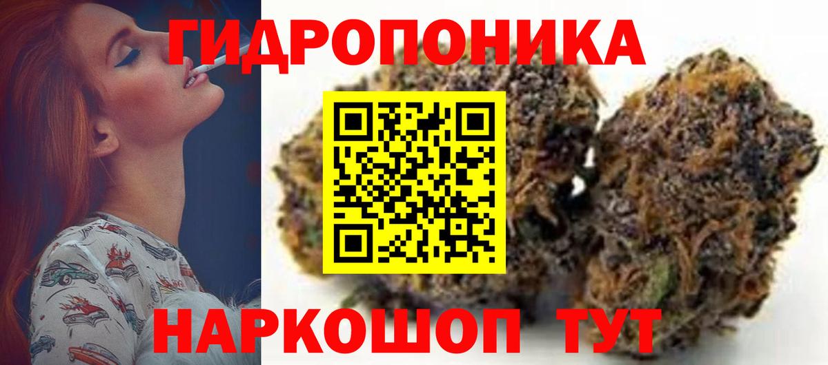 Конопля ГИДРОПОН Саров
